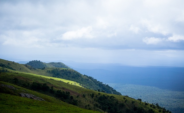 找到适合自 找到适合自