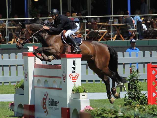 很多球员在 很多球员在