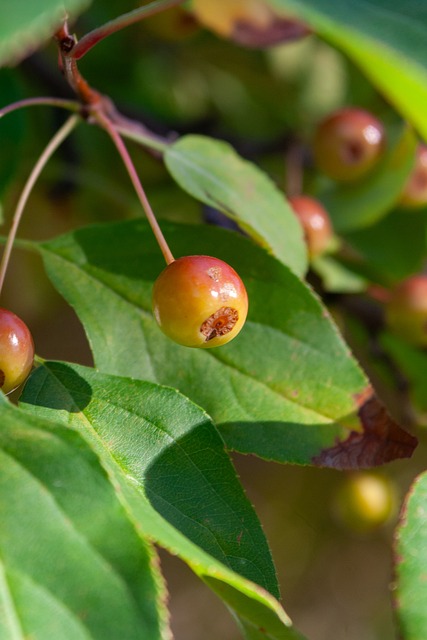 通过比赛成 通过比赛成