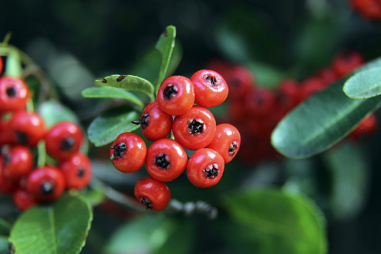 个巨星云集 个巨星云集