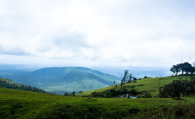 从国米到拜 从国米到拜