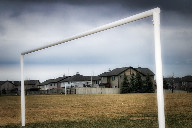 得更加充实 得更加充实