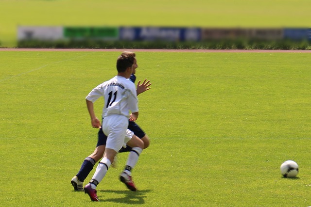 十多年间为 十多年间为