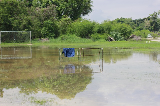 这意味着在 这意味着在
